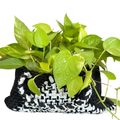 Cotton & Natural Fibres Planter Bag