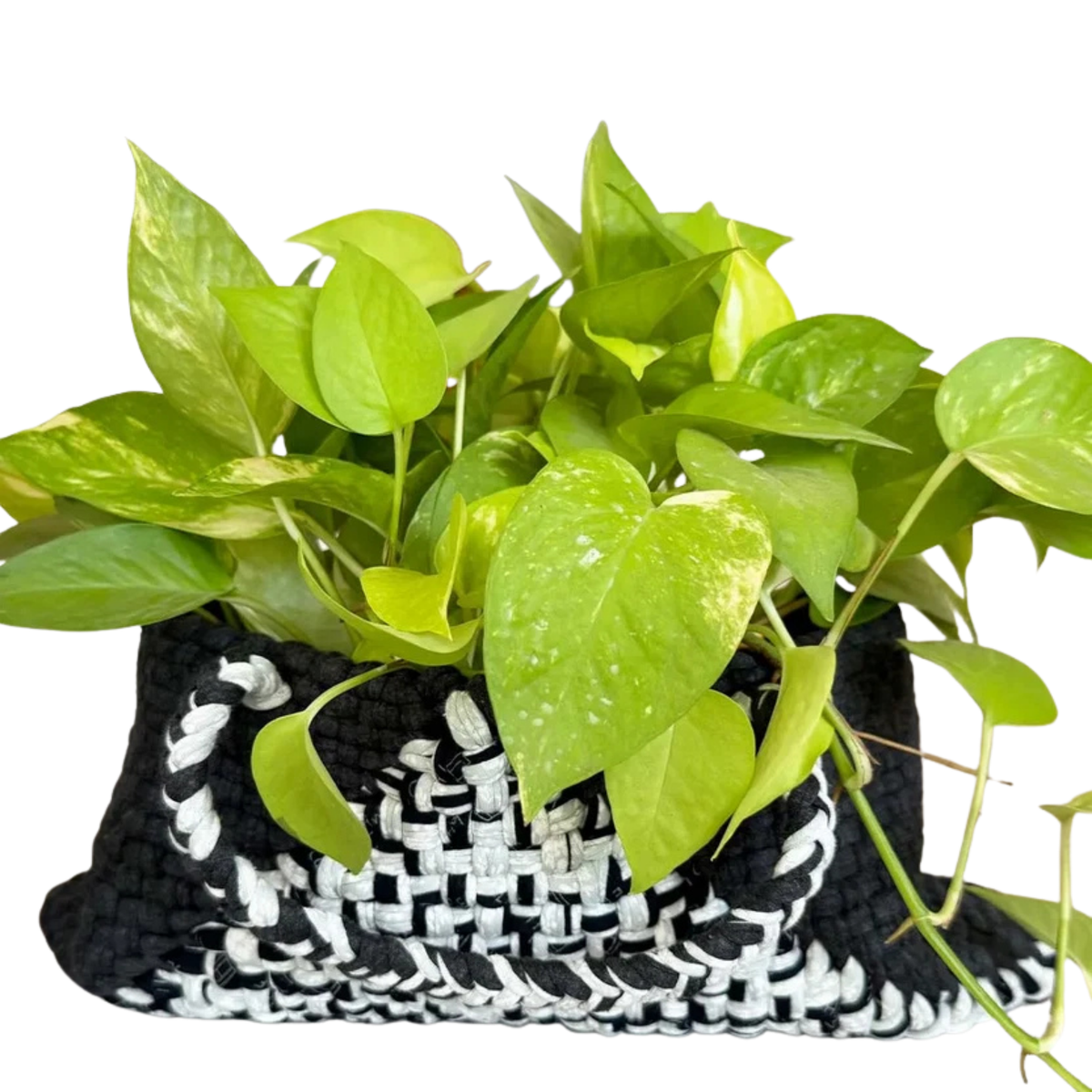 Cotton & Natural Fibres Planter Bag