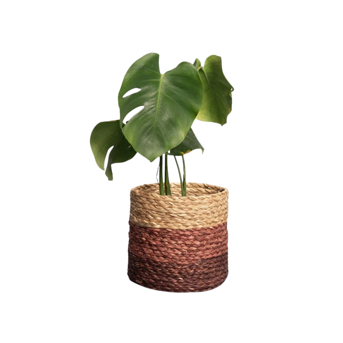 Handmade Sabai Grass Planter